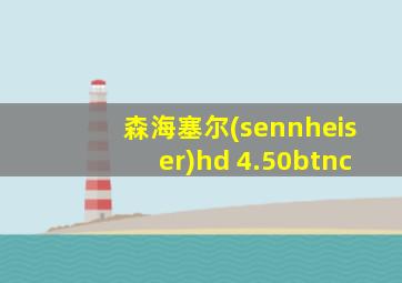 森海塞尔(sennheiser)hd 4.50btnc